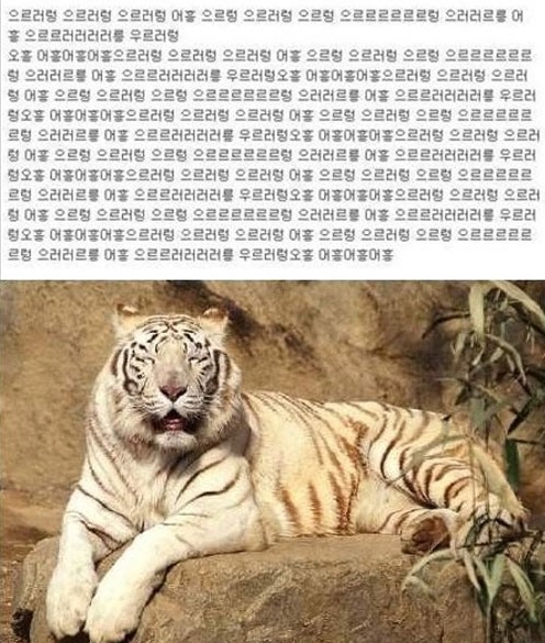 호랑이의 슬픈 사연, 육성처럼 들리는 울음소리 ‘맹수도 인생이 힘들어’