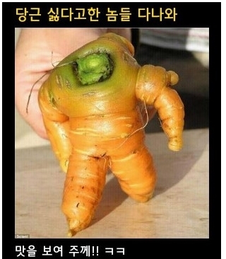 온라인 커뮤니티에 소개된 '당근스포머'가 화제다. 당근 스포머는 흡사 로봇 모양새를 한 당근으로 우람한... 영화 <트랜스포머>시리즈에서 착안한 당근 스포머에 누리꾼들의 댓글도 눈길을 끈다.