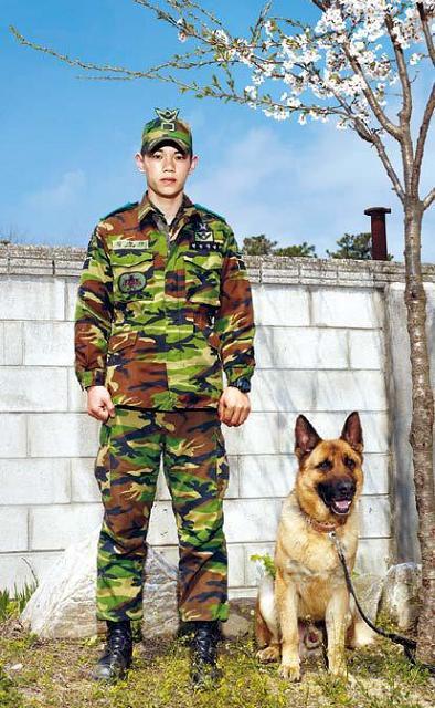 “The Cherry Blossom Tree, a Soldier and the Army Dog, ‘The Big Bear’” (Artsonje Center)