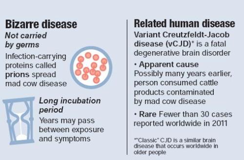 The safety of U.S. beef imports into Korea faces new questions after U.S. authorities confirmed a case of mad cow disease in a dairy cow from a California farm on April 24.