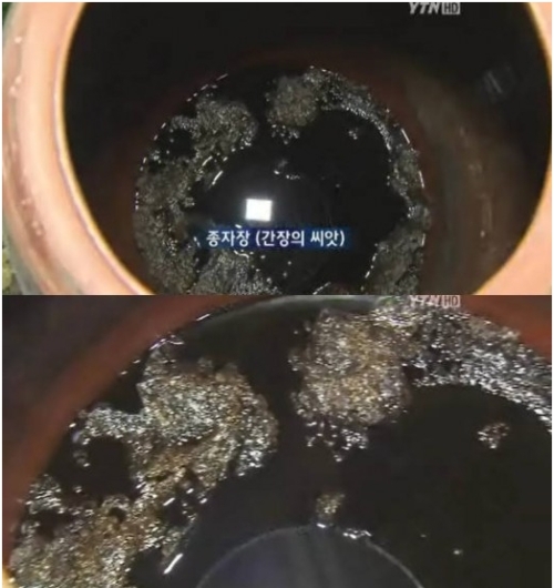 일 경기도 고양시 킨텍스에서는 한식의 세계화 등 한국 식품의 세계 진출을 가속화하기 위해 '2012 대한민국 식품대전'이 열렸다.
이날 식품전에서는 간장의 씨앗으로 불리는 종자장 중 450년이나 묵은 간장 1억 원에 달하는 종자장이 공개됐다.