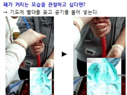 인천 ○○여고 유기동물 해부 논란…“명백한 동물학대”