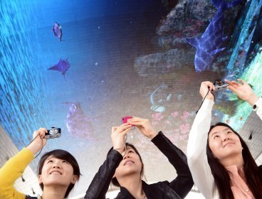 Visitors take photographs of thelight-emitting diode Expo Digital Gallery over their heads at the Yeosu Expo on Saturday. (Park Hae-mook/The Korea Herald)