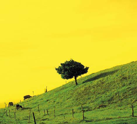 “Surreal Landscapes II” by Joaquin Murillo, Costa Rica (Korea Foundation)