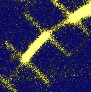 An image showing light scattering from a silicon nanowire running diagonally from bottom left to top right. (Stanford Nanocharacterization Lab)
