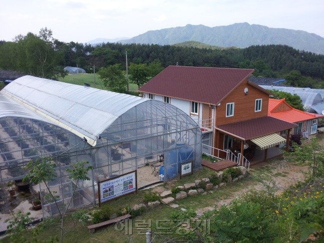 채향원 전경 / ▲보류[박인호의 전원별곡] 제4부: 자연과 사람④ 화천 블루베리 농원 ‘채향원’ 김응수 대표 “도시의 기반과 전문성을 살려 ‘반쪽 귀농’을 하세요”