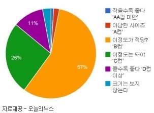 남성이 원하는 女 가슴사이즈는 ‘B컵’ - 헤럴드경제