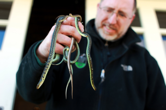 Snake-handling pastor dies from bite