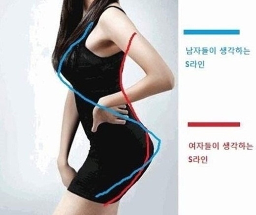 S라인의 진실 “남자는 가슴부터, 여자는? ”