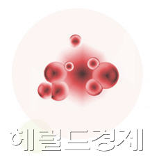 암, 면역력으로 치료한다