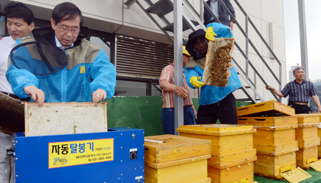 지난 4월 한국양봉협회 제안으로 설치된 도심양봉장이 첫 수확에 들어 갔다. 5일 오전 박원순 서울시장이 서소문 별관 옥상에서 수확된 40여 리터의 꿀을 채밀하고 있다./ 안훈기자 rosedale@ 2012.06.05
지난 4월 한국양봉협회 제안으로 설치된 도심양봉장이 첫 수확에 들어 갔다. 5일 오전 박원순 서울시장이 서소문 별관 옥상에서 수확된 40여 리터의 꿀을 채밀하고 있다./ 안훈기자 rosedale@ 2012.06.05
지난 4월 한국양봉협회 제안으로 설치된 도심양봉장이 첫 수확에 들어 갔다. 5일 오전 박원순 서울시장이 서소문 별관 옥상에서 수확된 40여 리터의 꿀을 채밀하고 있다./ 안훈기자 rosedale@ 2012.06.05