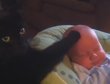 ideo of cat soothing baby to sleep wildly popular online
(YouTube)