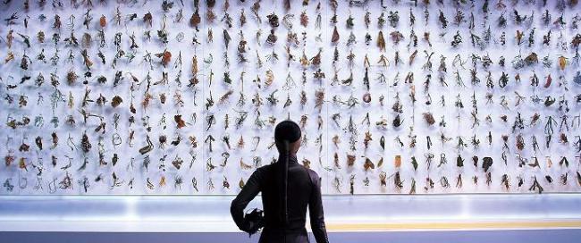 A scene from “EL FIN DEL MUNDO, 2012” by Moon Kyung-won and Jeon Joon-ho (Gallery Hyundai)