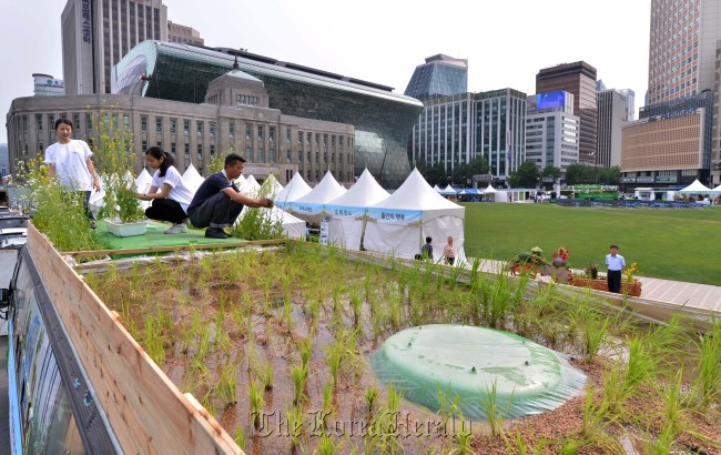 Participants of the first Urban-Agriculture Expo work on the field set up at the Seoul Plaza in central Seoul on Thursday. The Ministry for Food, Agriculture, Forestry and Fisheries, the Seoul City government and the Rural Development Administration are co-organizing the event until June 17 to introduce urban farming to Seoul residents.  (Lee Sang-sub/The Korea Herald)