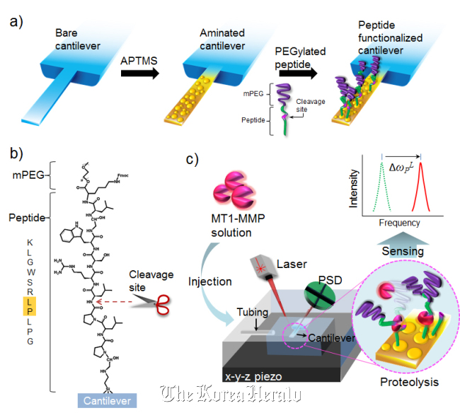 Scientists discover new method to speed up cancer diagnosis