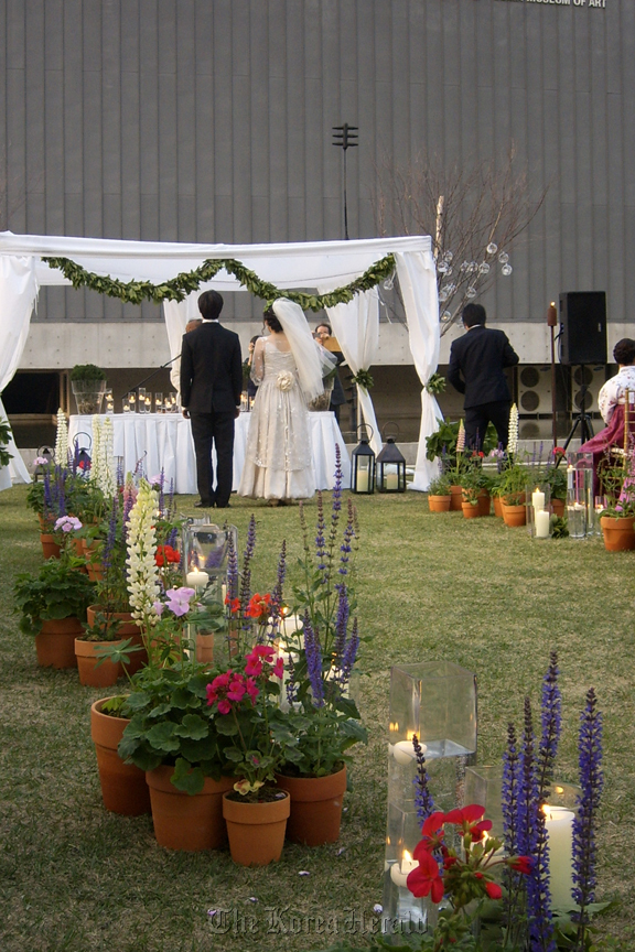 Flower pots are placed along the aisle. Sewing for the Soil