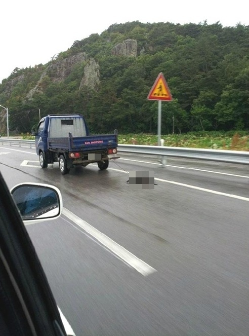 악마 트럭 논란...운전자 반응 ‘떨어진 줄 몰랐다’
