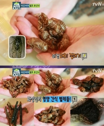 예능/tvN 화성인 X-FILE(진행 : 붐)/화성인 셀프 보신녀 “전갈은 간식, 도마뱀주 한 잔씩”