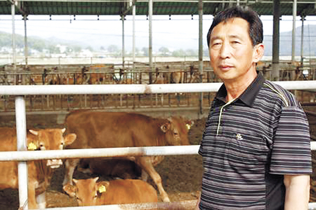 Hanwoo farmers worried about uncertain market