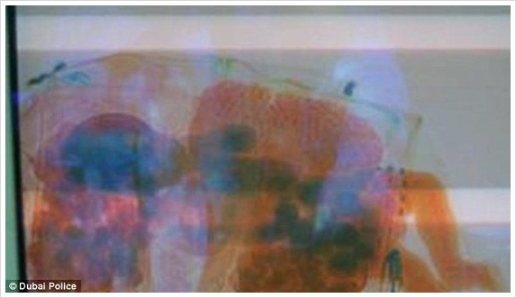 갓난아기 가방에 넣어 공항 X-ray 통과시킨 황당한 부모