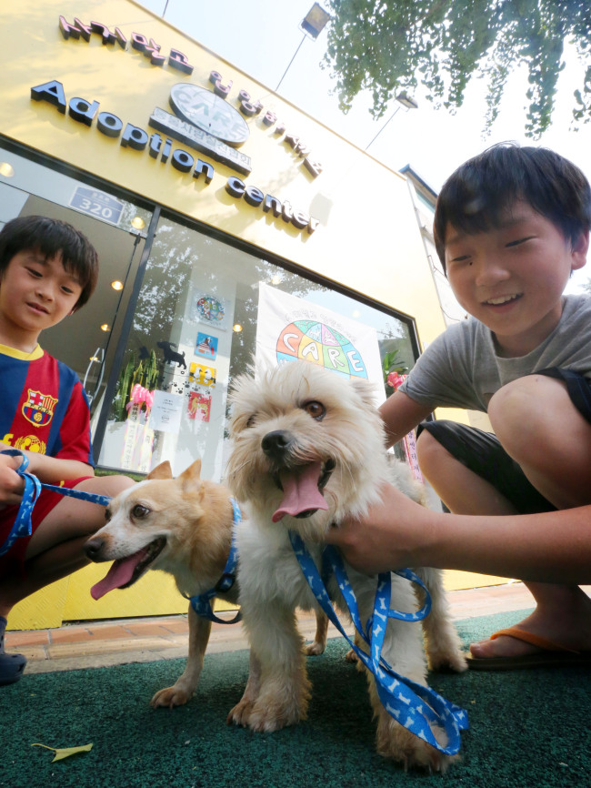 Children volunteers familiarize themselves with dogs housed in CARE’s newly opened Adoption Center at Toegye-ro, Seoul.    (Yonhap News)
