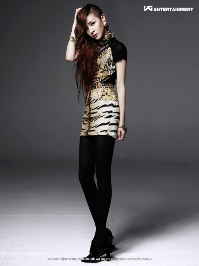 Dara from the girl group 2NE1 (YG Entertainment)