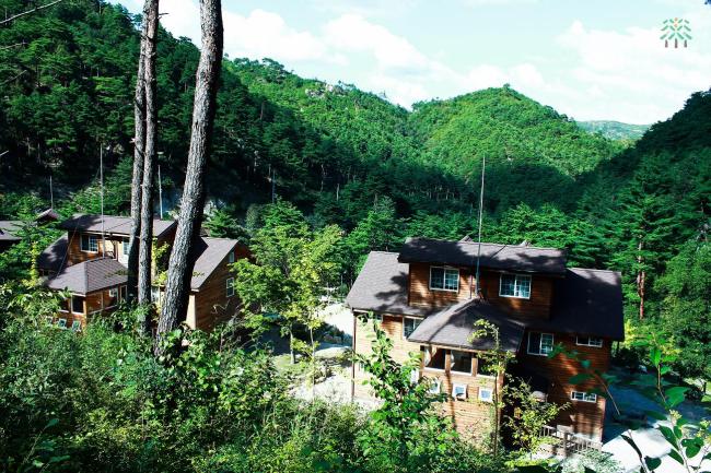산이냐 바다냐 고민해결···휴양림에선 해수욕도 즐긴다.