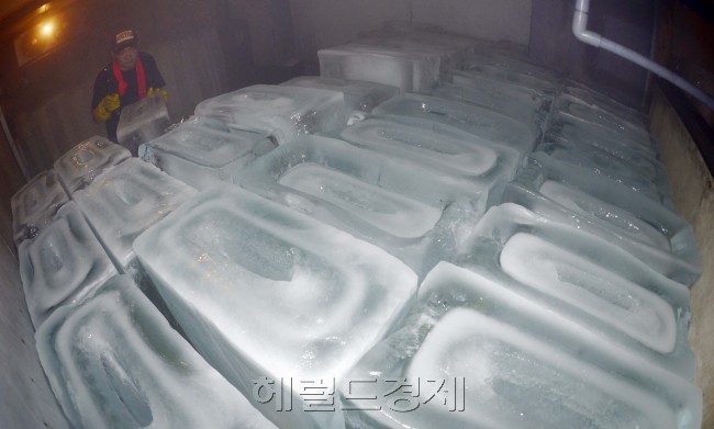연일 이어지는 폭염으로 시원한 얼음이 저절로 생각난다. 25일 오전 서울 동작구 노량진 수산시장의 얼음판매소의 얼음저장고가 얼음으로 쉴새없이 채워졌다 빠진다. 관계자에 따르면 휴가철로 인해 판매수량은 약간 줄었지만 폭염으로 인해 얼음은 꾸준히 나간다고 전했다. 박해묵 기자/mook@heraldm.com
연일 이어지는 폭염으로 시원한 얼음이 저절로 생각난다. 25일 오전 서울 동작구 노량진 수산시장의 얼음판매소의 얼음저장고가 얼음으로 쉴새없이 채워졌다 빠진다. 관계자에 따르면 휴가철로 인해 판매수량은 약간 줄었지만 폭염으로 인해 얼음은 꾸준히 나간다고 전했다. 박해묵 기자/mook@heraldm.com