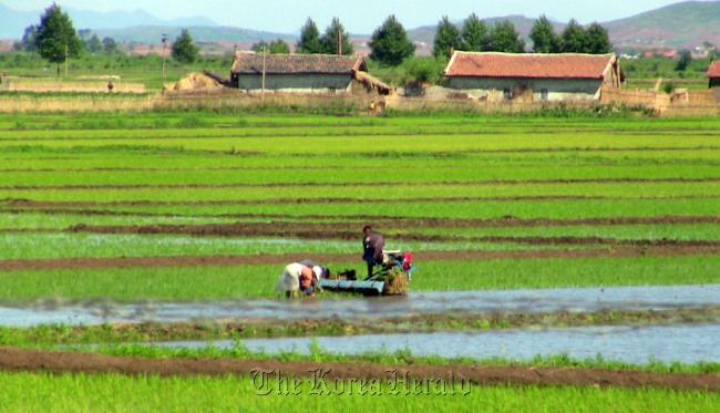 North Korean farmers work on Hwanggeumpyeong Island near the Chinese city of Dandong.  Yonhap News