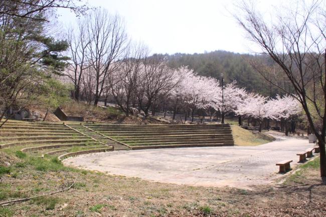 팔공산도립공원...숲속 작은 음악회 열어