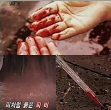 인도 붉은 비 “핏빛 비의 주성분을 분석해보니”