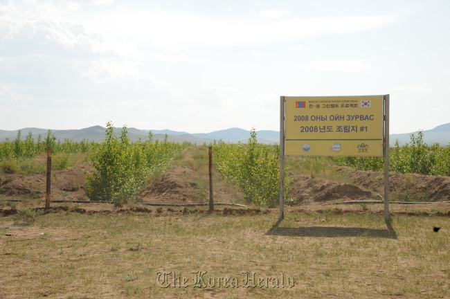 A plantation farm in Lun Som fostered in accordance with a 10-year Greenbelt Plantation Project between KFS and Mongolia to prevent desertification.    KFS