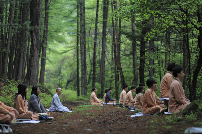 This file photo shows participants at a Templestay program meditating in the woods with Korean Buddhist monks. (Cultural Corps of Korean Buddhism)