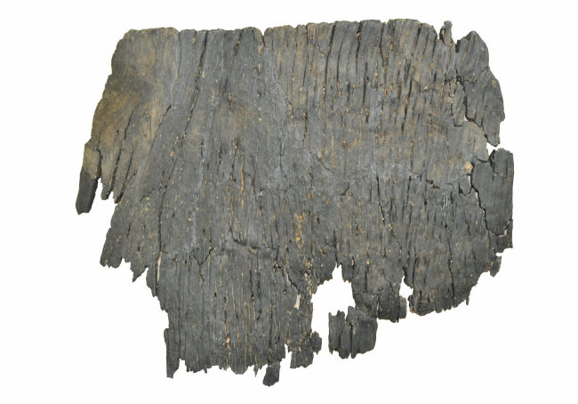 A fragment of an 8,000-year-old wooden boat, believed to be the oldest of its kind in the world, which was discovered in Uljin, North Gyeongsang Province.   Yonhap News