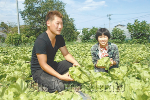 Shohei Kikuchi and his wife, Yoko, hold lettuce they harvested from their farm in Kikuchi’s hometown of Soma, Fukushima Prefecture.   The Yomiuri Shimbun
