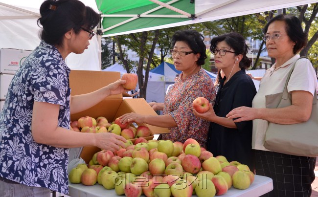 마포구가 11일 오전 강력한 태풍 블라벤과 덴빈으로 피해를 입은 농가의 시름을 덜어주기 위해서 마포구청 야외광장에서 남원시의 협조를 받아 농촌돕기 낙과팔아주기 행사를 가졌다. 이날 총 2,250KG(15KG 150.상자)의 낙과사과를 저렴하게 판매할 예정이다.<br />이상섭 기자. babtong@heraldcorp.com 2012.09.11
마포구가 11일 오전 강력한 태풍 블라벤과 덴빈으로 피해를 입은 농가의 시름을 덜어주기 위해서 마포구청 야외광장에서 남원시의 협조를 받아 농촌돕기 낙과팔아주기 행사를 가졌다. 이날 총 2,250KG(15KG 150.상자)의 낙과사과를 저렴하게 판매할 예정이다.
이상섭 기자. babtong@heraldcorp.com 2012.09.11
마포구가 11일 오전 강력한 태풍 블라벤과 덴빈으로 피해를 입은 농가의 시름을 덜어주기 위해서 마포구청 야외광장에서 남원시의 협조를 받아 농촌돕기 낙과팔아주기 행사를 가졌다. 이날 총 2,250KG(15KG 150.상자)의 낙과사과를 저렴하게 판매할 예정이다.
이상섭 기자. babtong@heraldcorp.com 2012.09.11