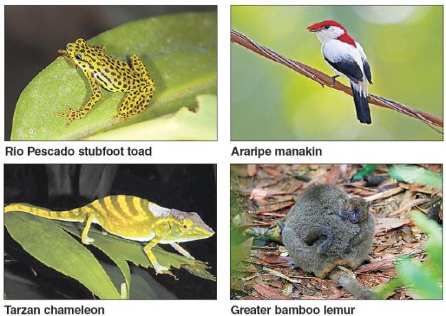 (Zoological Society of London)