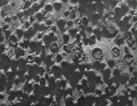 Small spherical objects fill the field in this mosaic combining four images from the Microscopic Imager on NASA's Mars Exploration Rover Opportunity. The view covers an area about 6 centimeters across, at an outcrop called "Kirkwood" in the Cape York segment of the western rim of Endeavour Crater. (NASA/JPL-Caltech/Cornell Univ./ USGS/Modesto Junior College)