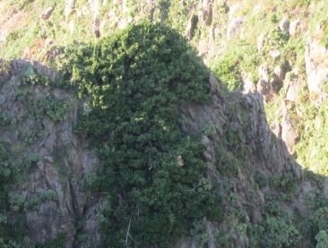 Dokdo islets (Yonhap)