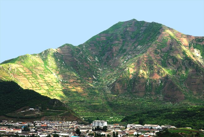 A North Korean mountain reclaimed as a plantation   KFS