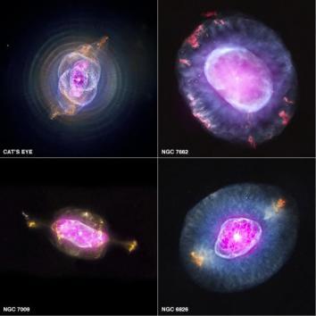 The planetary nebulas shown here are NGC 6543, also known as the Cat's Eye, NGC 7662, NGC 7009 and NGC 6826. In each case, X-ray emission from Chandra is colored purple and optical emission from the Hubble Space Telescope is colored red, green and blue. Credit: Smithsonian Astrophysical Observatory (UPI)