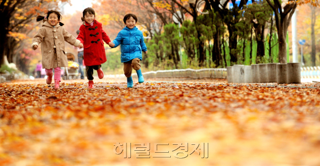 단풍으로 물든 낙엽 사이로...  단풍으로 물든 경기도 부천의 한 공원에 나들이 나온 아이들이 낙엽으로 쌓인 길을 뛰어놀며 해맑게 웃고 있다./ / 안훈기자 rosedale@ 2012.10.28
단풍으로 물든 낙엽 사이로...  단풍으로 물든 경기도 부천의 한 공원에 나들이 나온 아이들이 낙엽으로 쌓인 길을 뛰어놀며 해맑게 웃고 있다./ / 안훈기자 rosedale@ 2012.10.28