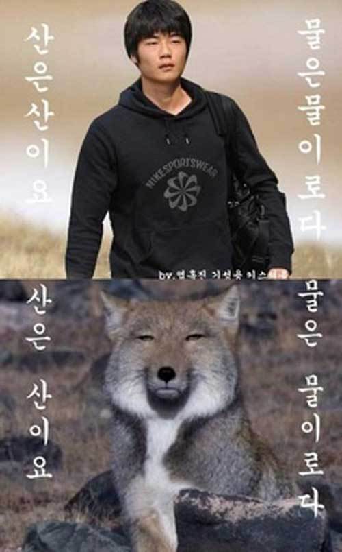 기성용(축구선수/스완지 시티AFC/MF)
기성용이 자신과 닮은 꼴 동물 사진을 공개해 화제를 모으고 있다. 기성용은 5일 트위터에 “오늘 하루도 건강히 잘 보내시길”이란 글과 함께 자신과 티벳 여우의 사진을 올렸다. 사진 속 기성용의 무표정하고 심드렁한 얼굴이 티벳 여우의 찢어진 눈과 닮아 웃음을 자아낸다.
사진=기성용 트위터