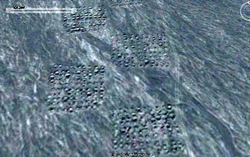 A "mysterious" grid of dots China. (Google Earth)