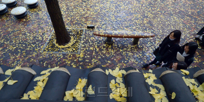 입동을 하루 앞둔 6일 오전 밤새 내린 비로 서울 덕수궁 돌담위에 쌓인 은행잎이 가을의 끝자락에 아쉬움을 남기고 있다.<br />김명섭 기자 msiron@heraldcorp.com
입동을 하루 앞둔 6일 오전 밤새 내린 비로 서울 덕수궁 돌담위에 쌓인 은행잎이 가을의 끝자락에 아쉬움을 남기고 있다.
김명섭 기자 msiron@heraldcorp.com