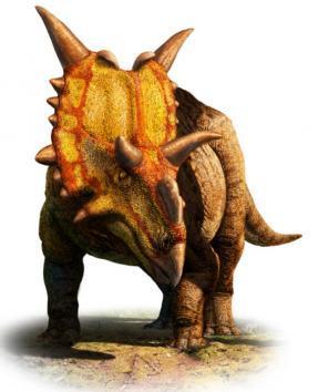 Artist reconstruction of Canada's oldest ceratopsid, Xenoceratops foremostensis. (UPI)