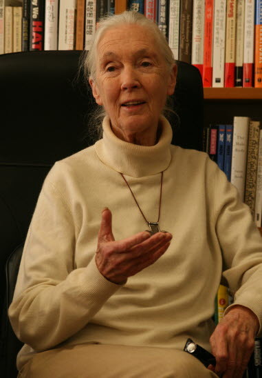 제인 구달(Jane Goodall/동물학자/인류학자)
Primatologist and environmentalist Jane Goodall speaks with reporters in Seoul on Wednesday, a day after she came to Korea to celebrate the launch of J&J Biodiversity Foundation.   Yonhap News