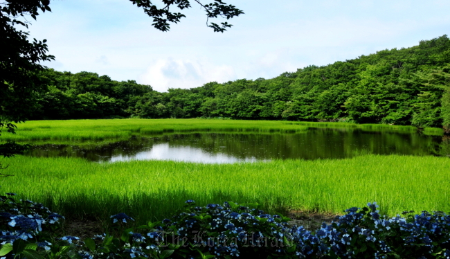 Mulyeongari Oreum Wetland is one of Jeju Island’s top ecotourism sites.   Jeju Self-Governing Province