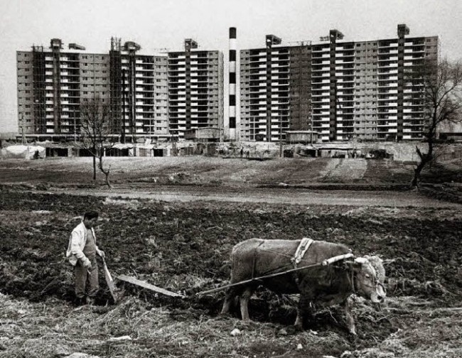 고층아파트와 밭 가는 농부가 대조를 이루는 전민조의 ‘압구정동 1978’.  [사진제공=서울사진축제 조직위]