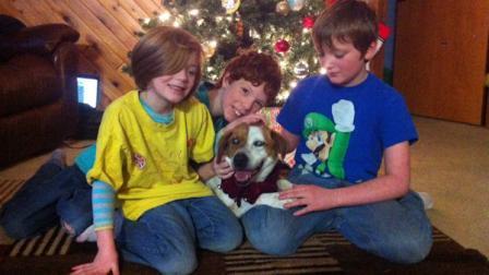 In this undated photo provided by McKenzie Grapengeter, the Grapengeter children, from left, Ava, 6, Greg, 10, and Shane, 9, pose for a photo with their dog, Abby, who is blind and went missing more than a week ago during heavy snow storms, at their Fairbanks, Alaska home. After walking 10 miles to the edge of a local musher's dog yard, Abby the brown-and-white mixed breed was found and returned to her owners on Sunday, just in time for Christmas. (AP)